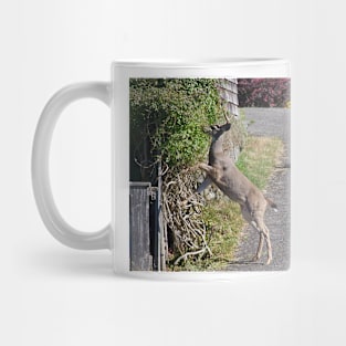 850_2441 Mug